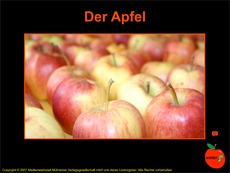 Der Apfel-Präsentation.pdf